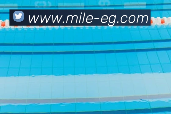 米乐m6平台生态图