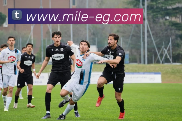 辅助工具 辅助工具